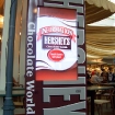2010-08-03 (023)